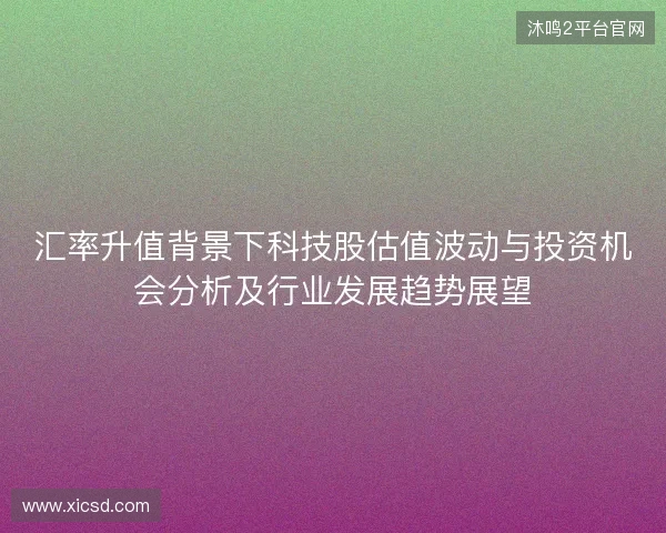 汇率升值背景下科技股估值波动与投资机会分析及行业发展趋势展望