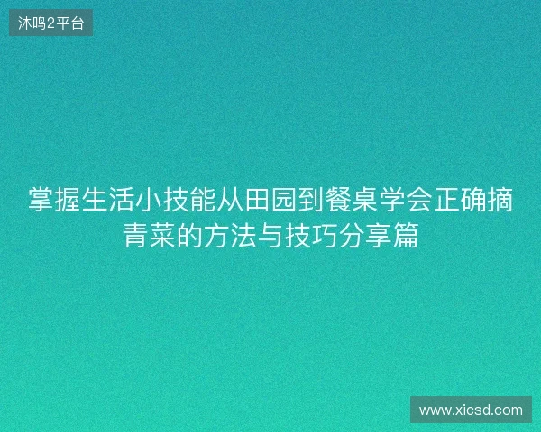 掌握生活小技能从田园到餐桌学会正确摘青菜的方法与技巧分享篇 掌握生活小技能从田园到餐桌学会正确摘青菜的方法与技巧分享篇