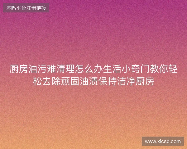 厨房油污难清理怎么办生活小窍门教你轻松去除顽固油渍保持洁净厨房